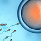 Illustration for article titled A New Way to Track Sperm Could Make IVF Easier